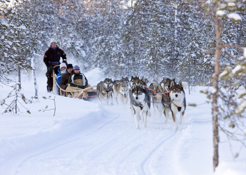 Ultimate Arctic Adventure and Tromso - Photo 1
